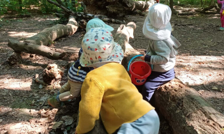 Kinder der Kindertagespflege klettern auf Baumstämmen herum im Wald in Leipzig